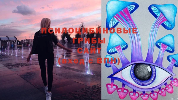 бутик Шенкурск