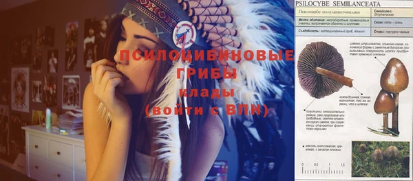 меф Чекалин