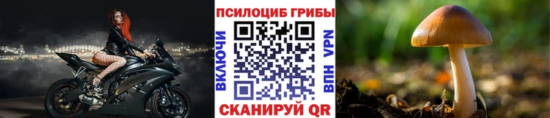 Галлюциногенные грибы мухоморы  Пойковский 